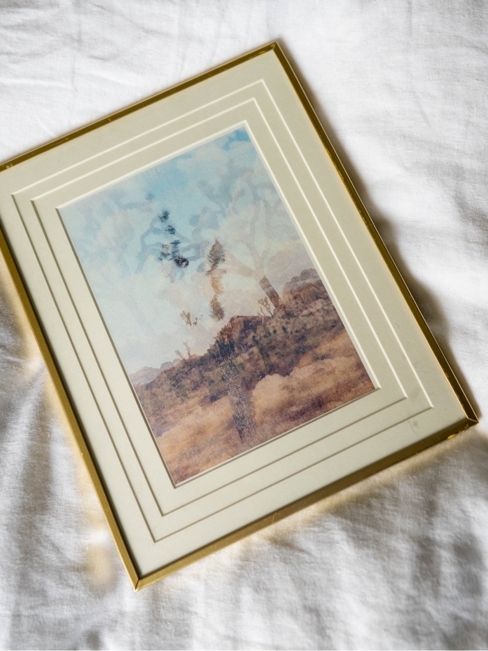 Original double exposure, film photograph - Joshua tree 8x10 frame.